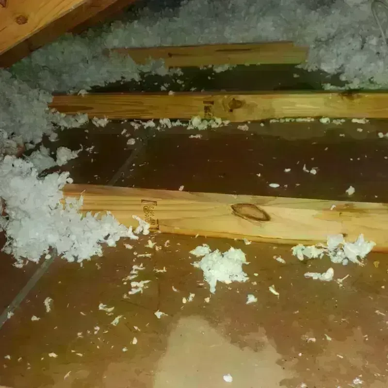 Attic Water Damage in Cherokee County, OK