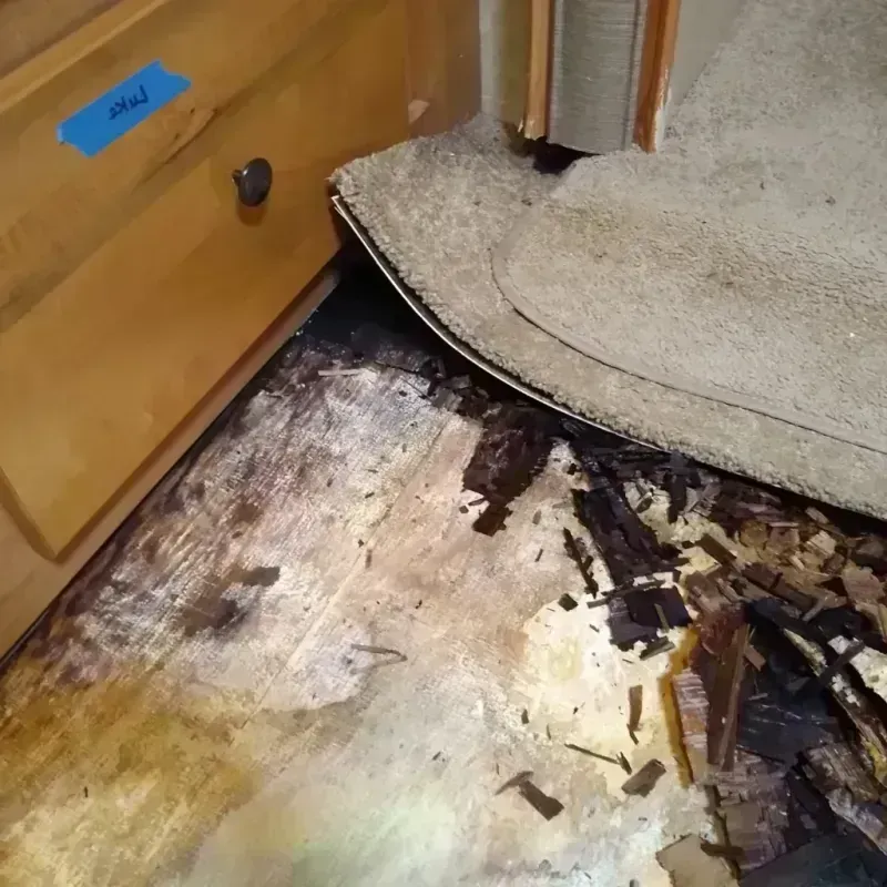 Wood Floor Water Damage in Cherokee County, OK